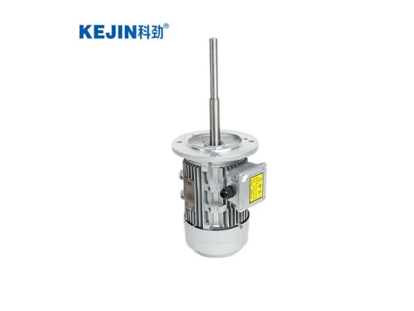 加長(zhǎng)軸電機(jī)